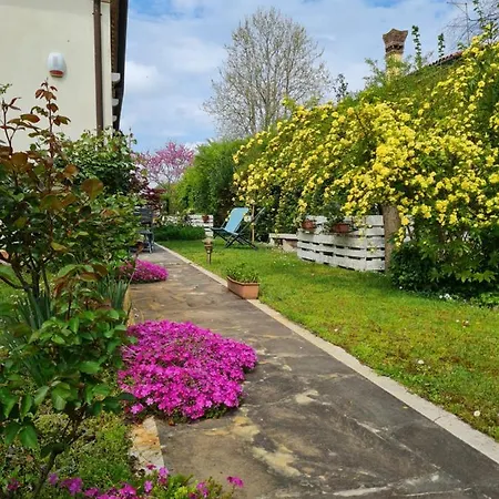 Casa Pianta-3